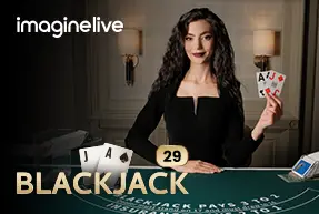 Blackjack 29
